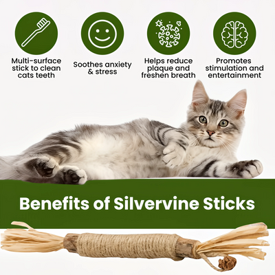 Purriq Natural Silvervine Dental Sticks