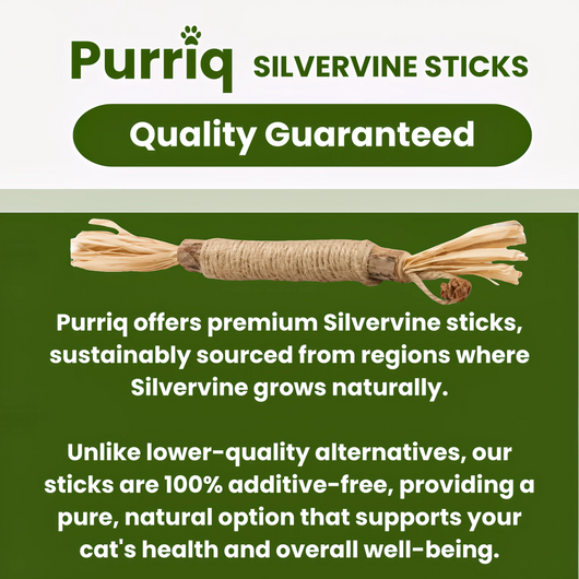 Purriq Natural Silvervine Dental Sticks