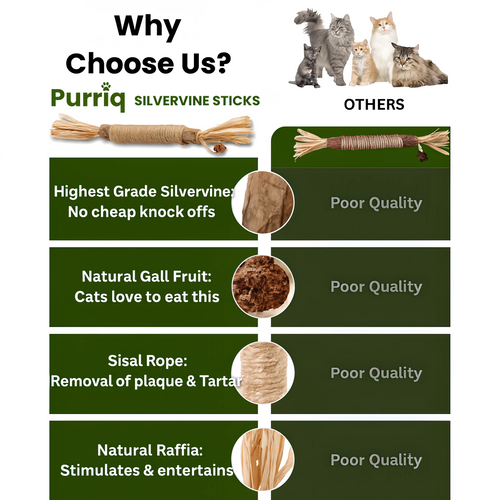 Purriq Natural Silvervine Dental Sticks