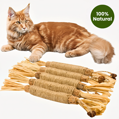 Purriq Natural Silvervine Dental Sticks